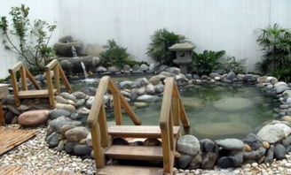 四時養生新體驗 溫泉機的健康妙用