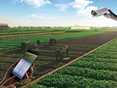 華安迪夢(mèng)溫泉康養(yǎng)小鎮(zhèn) 融合“吃住玩游樂購”與溫泉技術(shù)研發(fā)的理想目的地